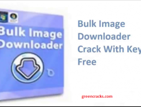 Bulk Image Downloader crack