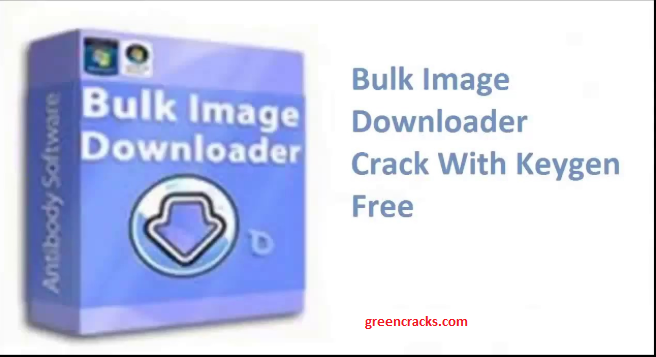 Bulk Image Downloader crack