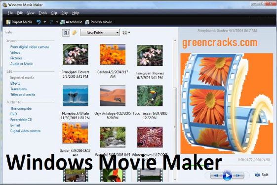 Windows Movie Maker bị bẻ khóa