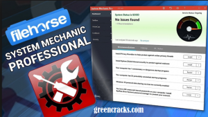 system mechanic professional crack