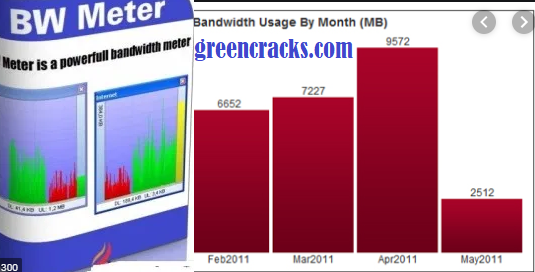 BW Meter Cracked