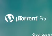 uTorrent Torrent